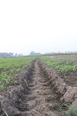 waterway channels earth canal view on field