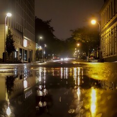 City street on a rainy night. Puddles where the lights of the street lamps are reflected.
