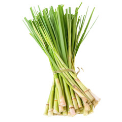 Fresh organic lemongrass. Isolated on white background.