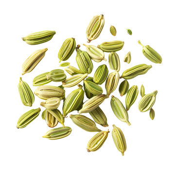 Green cardamom pods isolated on white background.