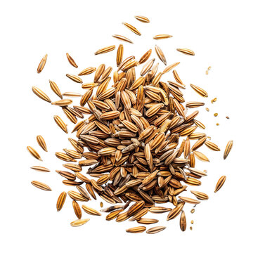 Pile of cumin seeds isolated on white background, transparent, PNG