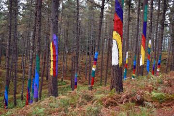 The Painted Forest of Oma. Bizkaia. Basque Country. Spain