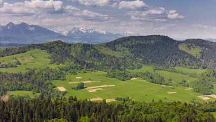 Aerial drone view over green hills of Pieniny National Park and snowy Tatra Mountains