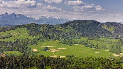 Obraz premium Aerial drone view over green hills of Pieniny National Park and snowy Tatra Mountains
