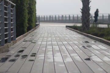 Rainy day walkway surrounded by trees