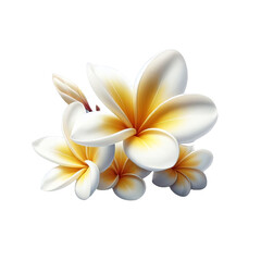 Naklejka premium Plumeria flower isolated on transparent background
