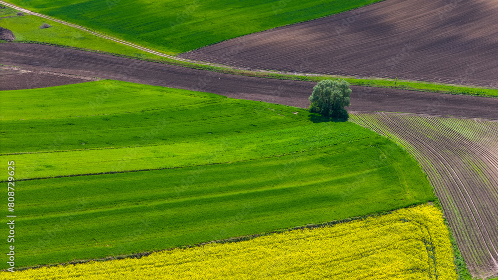 Poster Colorful agriculture farmland and crop fields. Aerial drone view