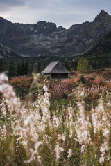 Hala Gasienicowa valley in Tatra Mountains at autumn. Moody picturesque landscape