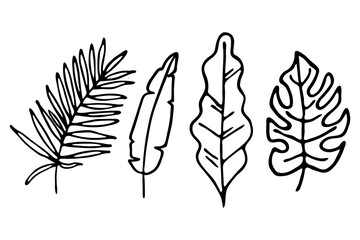 Vector botanical illustration from a set of tropical leaves. Monochrome silhouette. Hand drawn tree leaves.