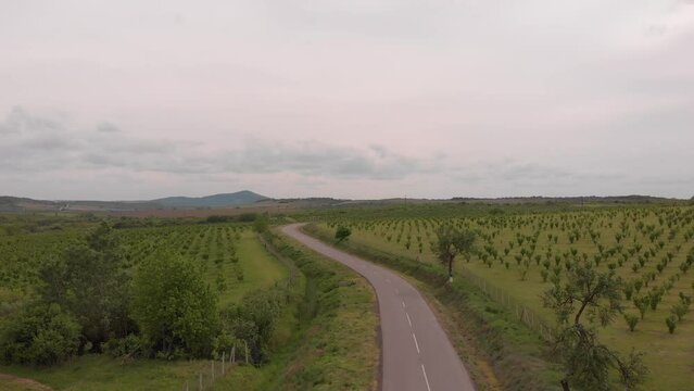 sports car driving down the road, drone footage