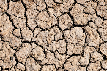 Close-up of dry cracked soil texture in arid area due to lack of water amid global warming. Concept of environmental problems