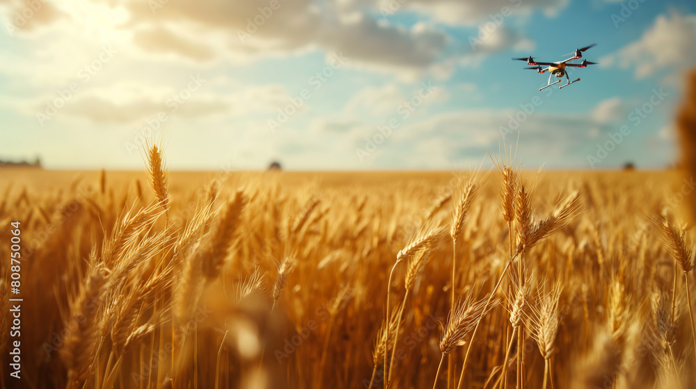 Poster amidst fields of golden wheat, autonomous drones soar overhead, scanning the crops below with advanc