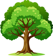 oak tree illustration