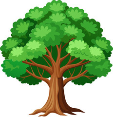 oak tree illustration