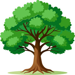 oak tree illustration