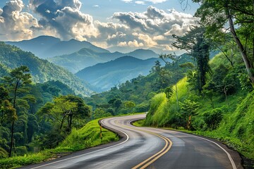 Winding Road Through Lush Green Forest