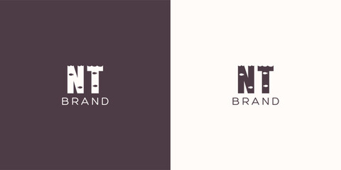 NT Letters vector logo design