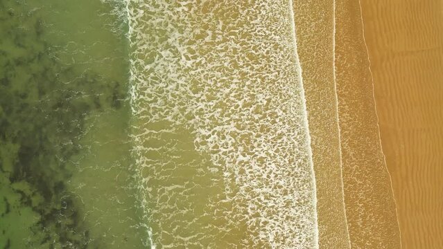 Aerial footage of the Tasman Sea waves on Waratah Bay Beachin Waratah Bay town, Victoria, Australia