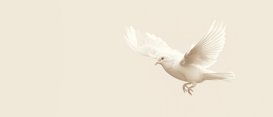 Fototapeta premium Graceful Dove Flying. Symbol of Peace and Freedom. Copyspace.