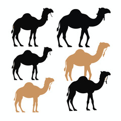 camel vector silhouette design logo