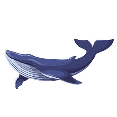 Swimming whale, cartoon sea and ocean animal. Cute giant blue aquatic mammal with fins and tail, cartoon diving underwater humpback whale, wild nature and marine wildlife vector illustration