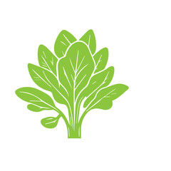 hand draw vegetable vector flat design