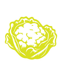 hand draw vegetable vector flat design