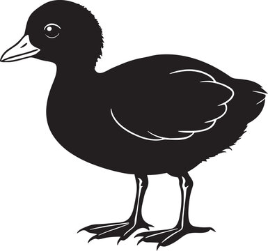 recommend clip art: baby duck black silhouette on a white background, vector illustration,
