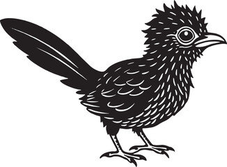 Vector image of a bird on a white background. Black and white.