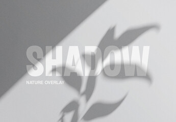 Plant Shadow Texture Overlay