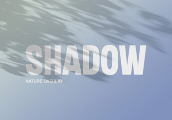Realistic Shadow Texture Overlay