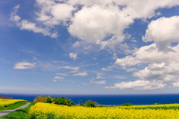 Obraz premium Ostseebad Kühlungsborn