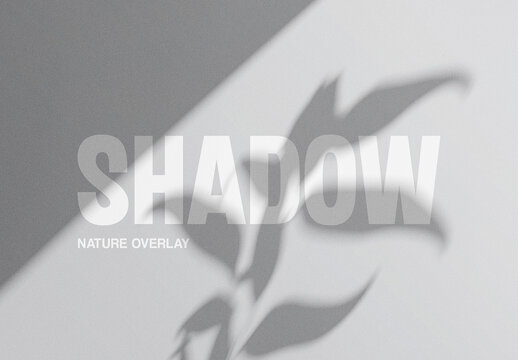 Plant Shadow Texture Overlay