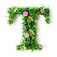 Green organic grass with tiny flowers made letter T on white clean background. Environment concept. Generative AI