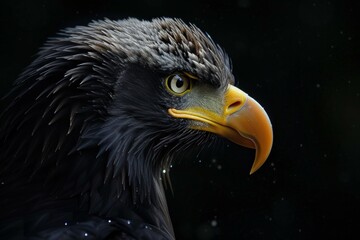 Black eagle bird sparkles. Avian raptor. Generate Ai