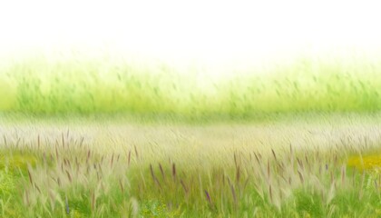 Fototapeta premium Serene green meadow with soft grass and wildflowers 
