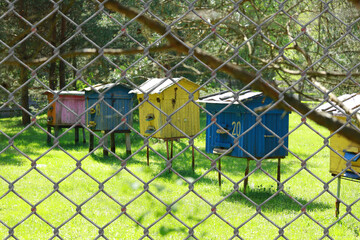 bee hives behind wired fence
