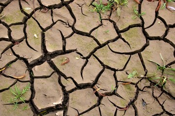 Terre craquelée  pendant une sécheresse.