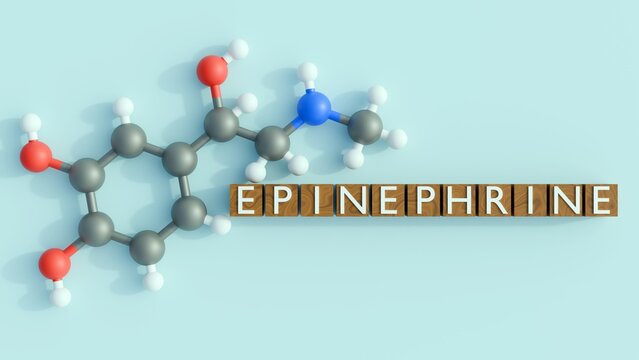 3d rendering of epinephrine or adrenaline molecule and epinephrine on the word blocks