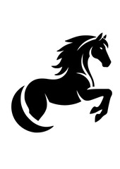 Horse svg, horse png, horse silhouette, horse lover svg, horseshoe svg, animal svg, horse riding svg, cricut silhouette cut files, SVG, JPG, PNG