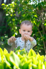 cute child playing in the garden, sunlight, happy