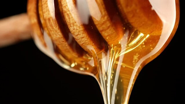 Thick honey dripping from a honey spoon, black background. Healthy organic honey