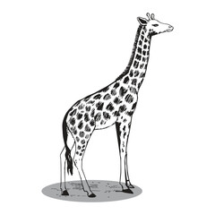 Naklejka premium Giraffe silhouette editable vector illustration
