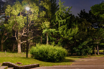 深夜の公園の風景