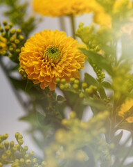 Gelbe Blume