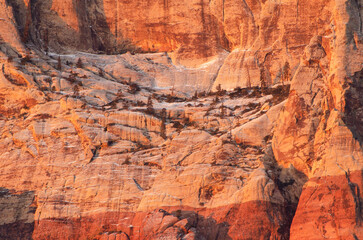Sherwood Forest,Red Rock Canyon National Conservation Area, sunrise