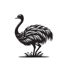 ostrich  pen size,ostrich bird size ,ostrich silhouette,ostrich silhouette images ,ostrich silhouette png