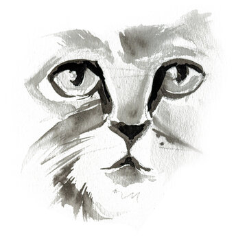 Watercolor fluffy cat artwork isolated on white.
