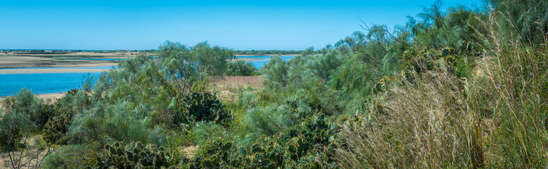 View on Praia do Lacem near Tavira en Cabanas in the Algarve, Portugal