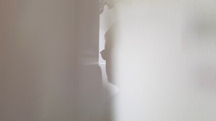 phantom in the wall